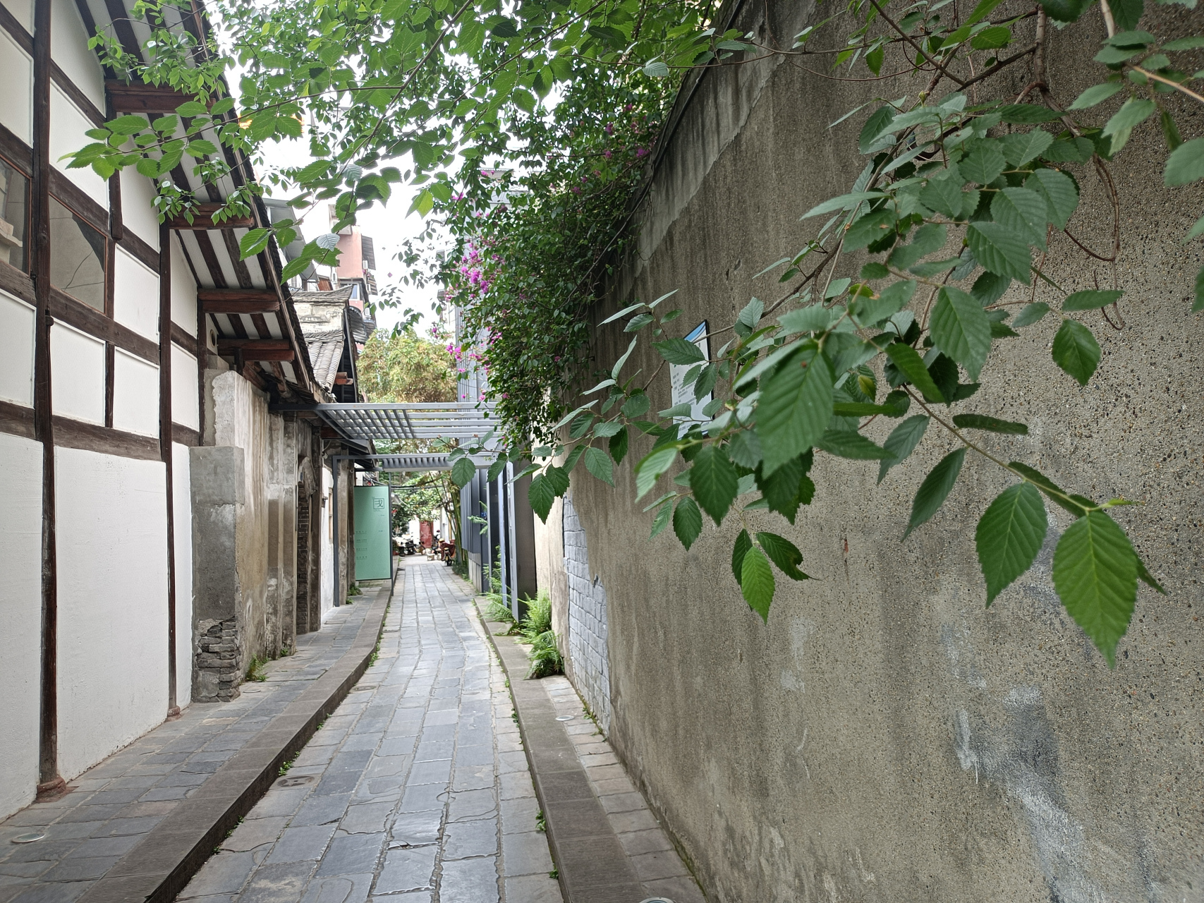 崇德里,龙王庙正街,王家坝街(成都风物80) 崇德里有李劼人的印刷厂