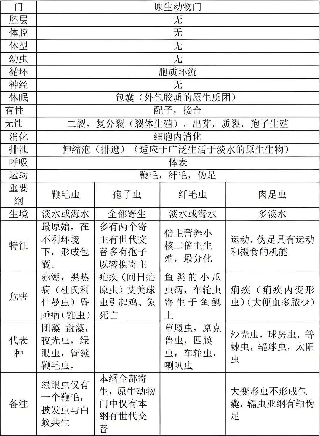 原生动物门特征:单细胞有机体