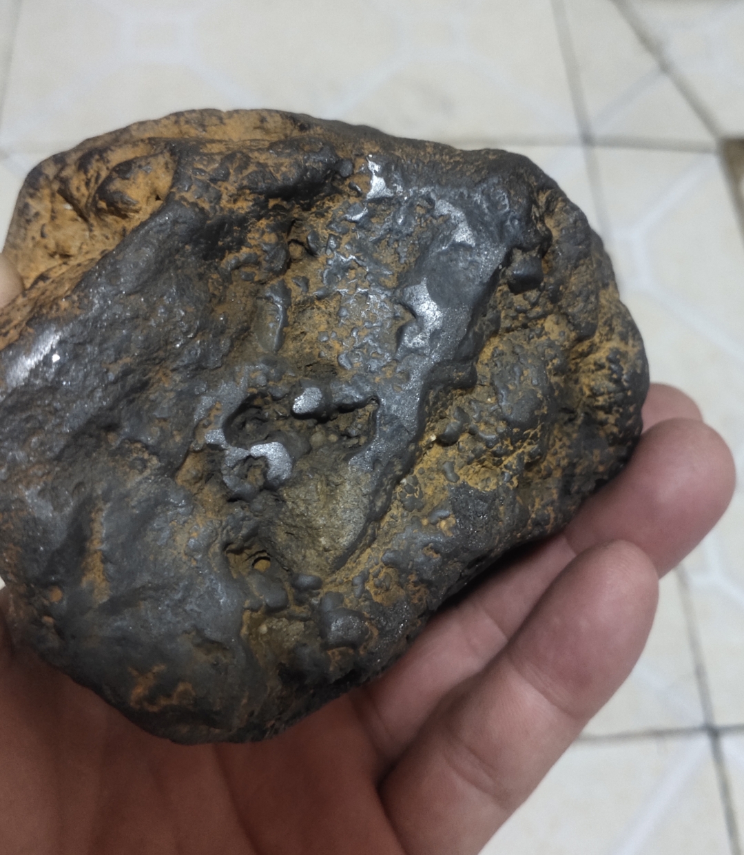 两种,铁陨石和石铁橄榄.