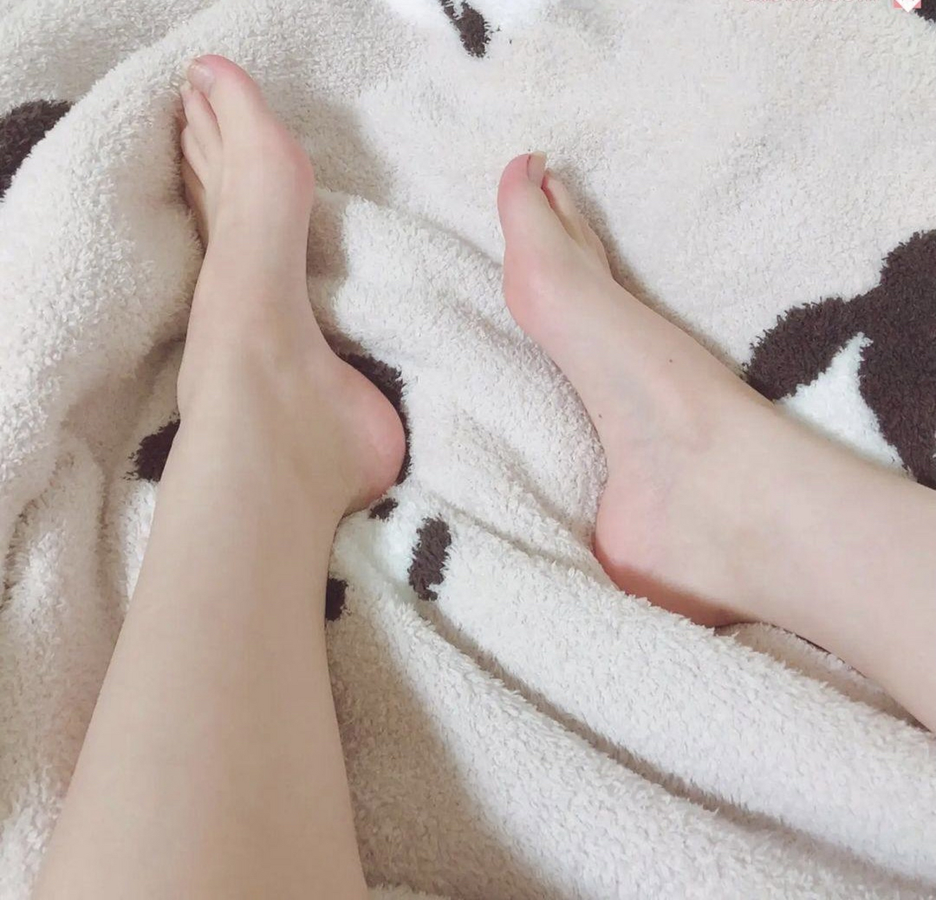 玉足# #小狗日记# #无处安放的小jio# #咸置