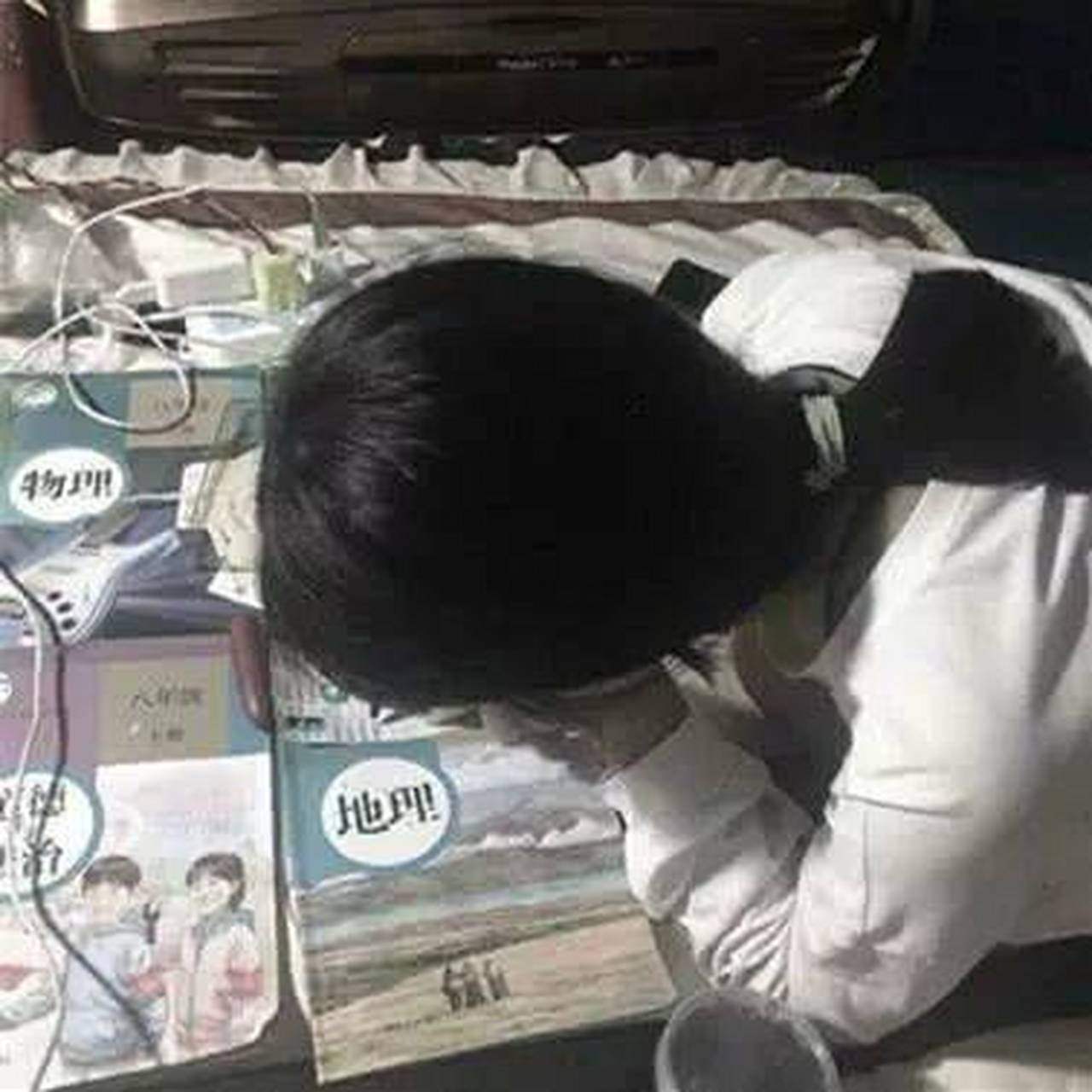 用书挡脸的女生头像a,新人#头像