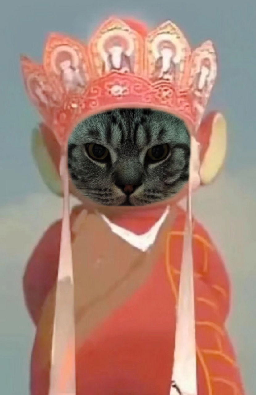 猫咪版唐僧 大壮和小甜穿上这身袈裟,还挺像那么回事儿,哈哈,好好笑啊