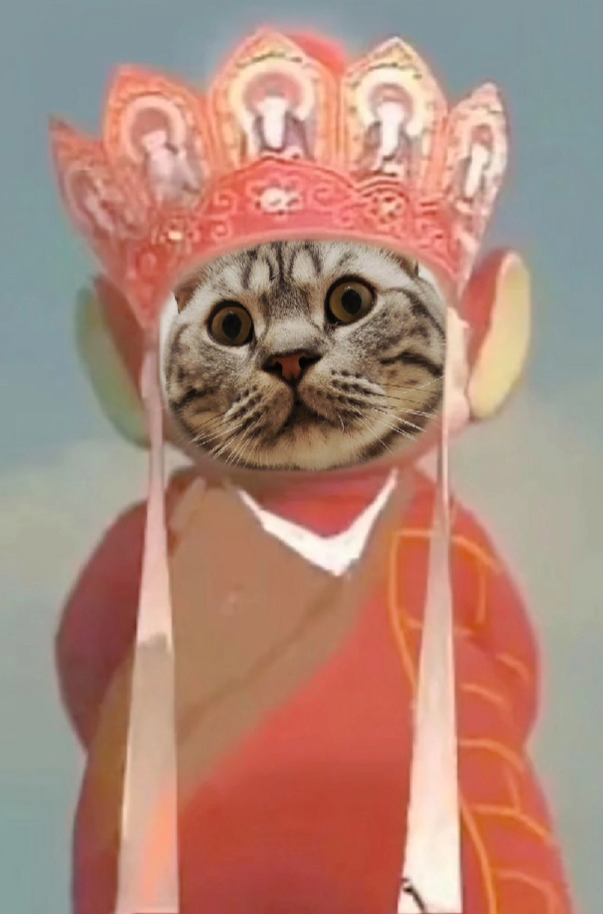 猫咪版唐僧 大壮和小甜穿上这身袈裟,还挺像那么回事儿,哈哈,好好笑啊