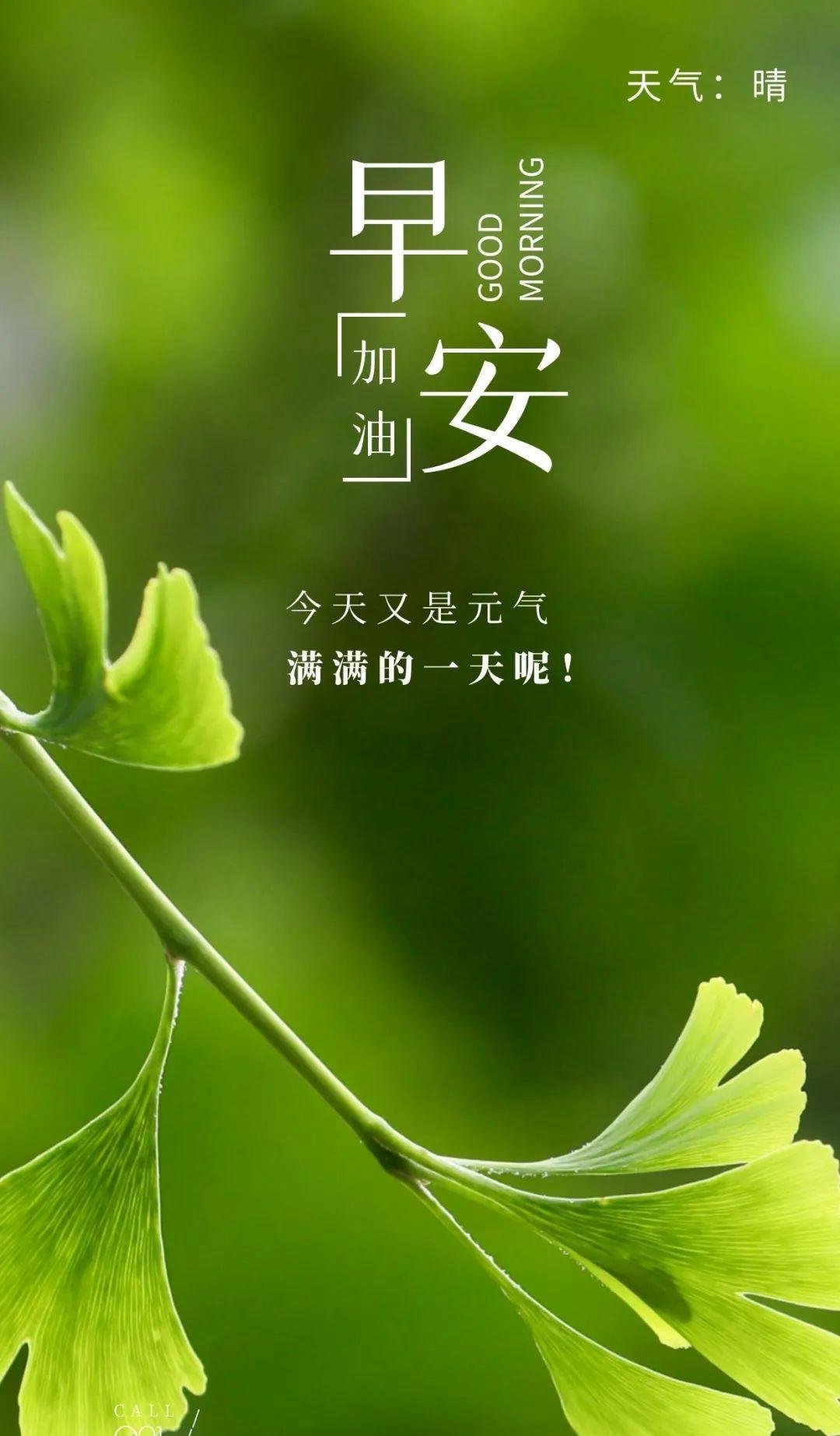 都羡慕的成功背后,都是不断努力的结果,生活一定会回报那个有自律的人