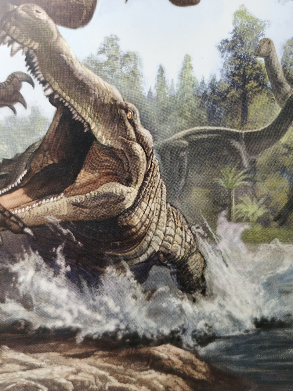 帝鳄攻击似鳄龙    浩瀚的海洋真是猛兽迭出,看过