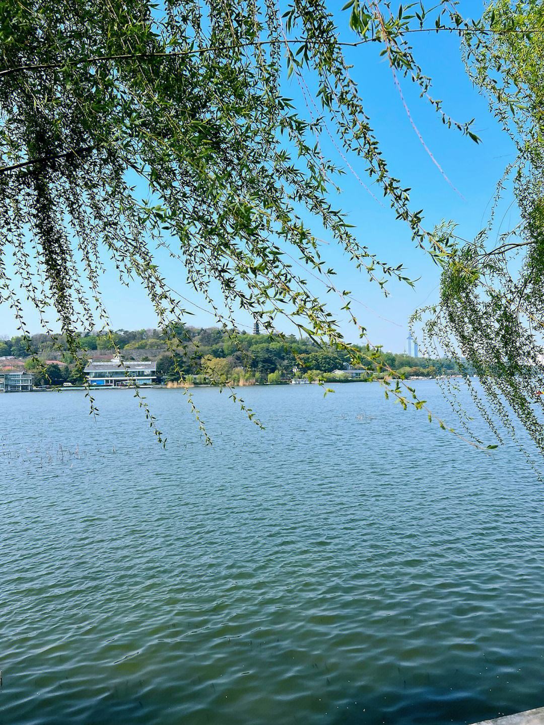 五一去南京玄武湖啦!