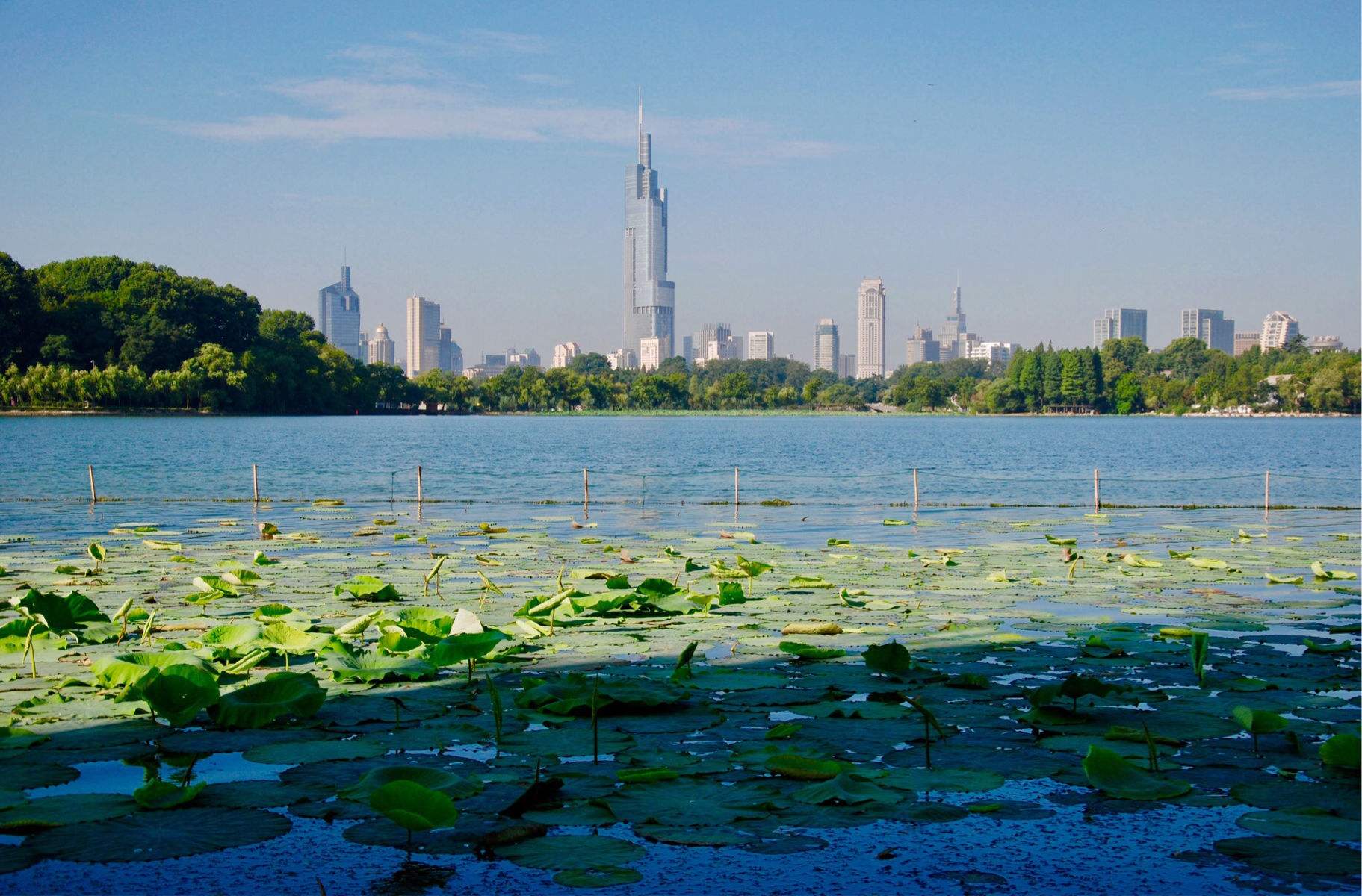 玄武湖公园 景区图片