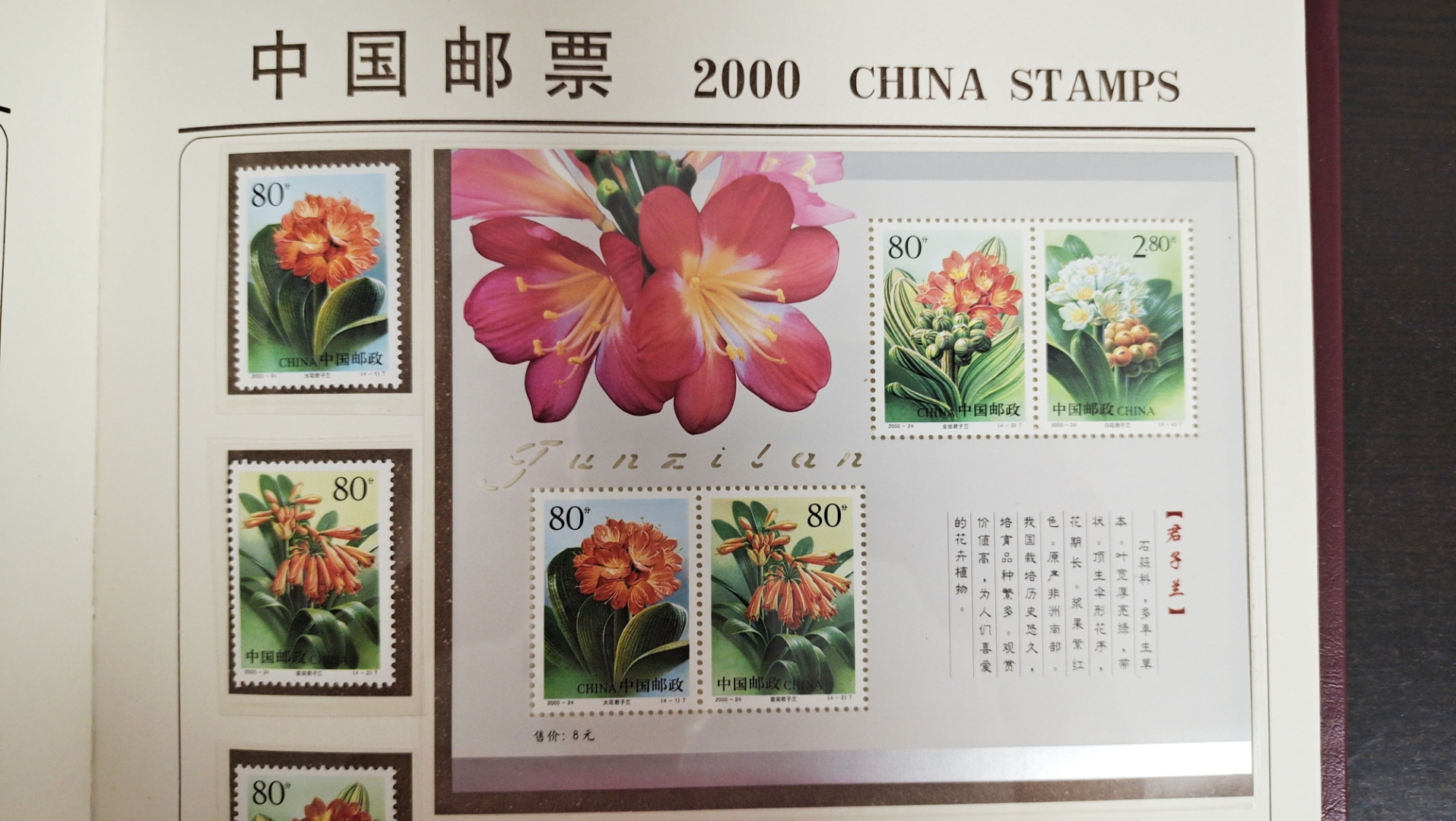 画家眼中的君子兰,今天翻看邮票,偶然发现这款深受人们喜爱的花卉"