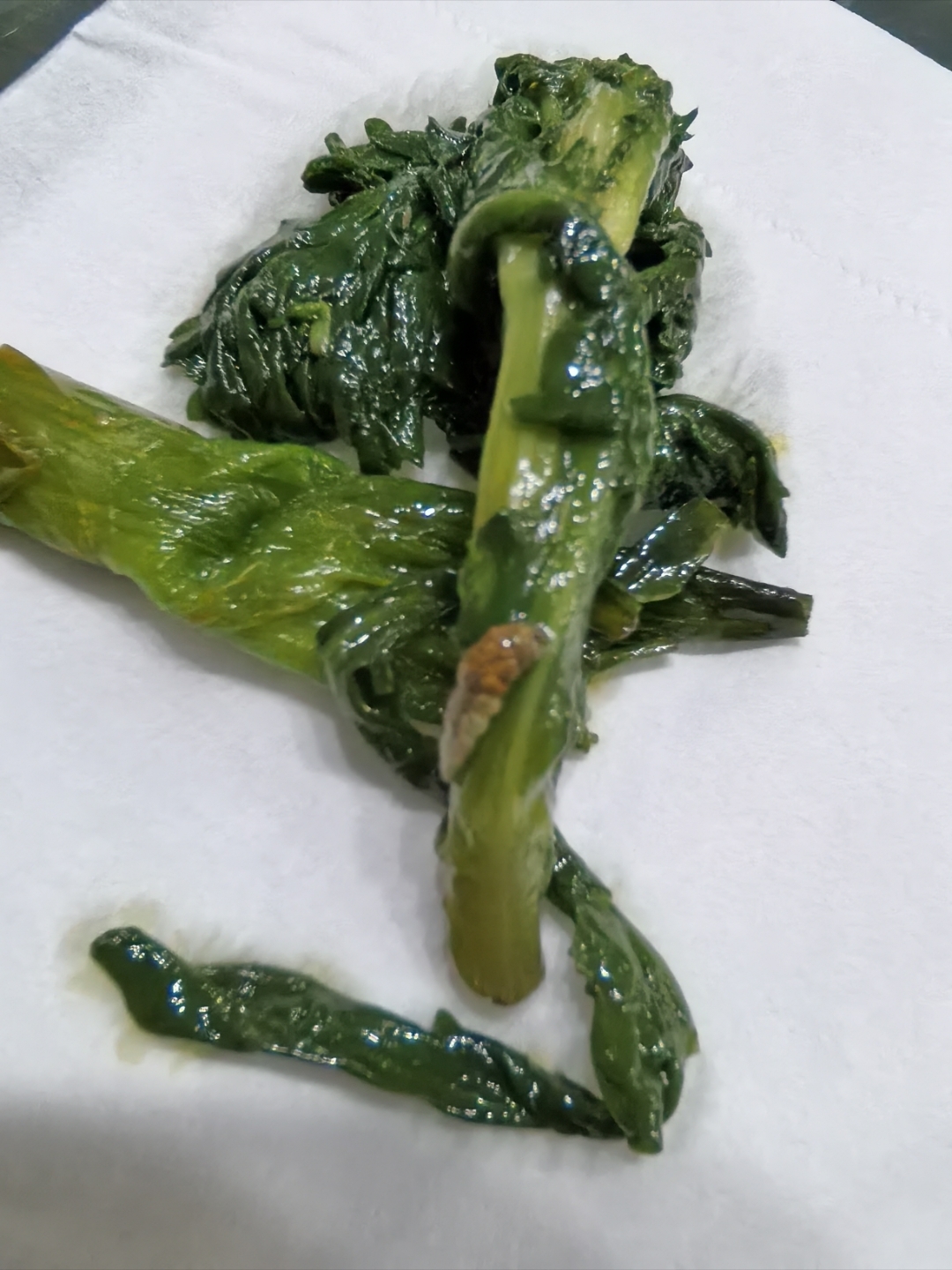 一个身体不太好的残疾人开的餐馆,幸运的吃到虫子,没和老板说你把钱付