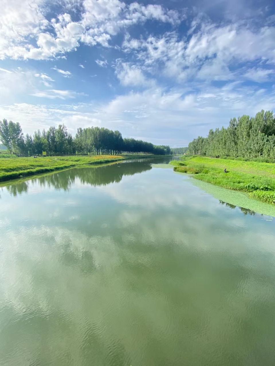 雨后碧空如洗9898所见之处皆是绿色
