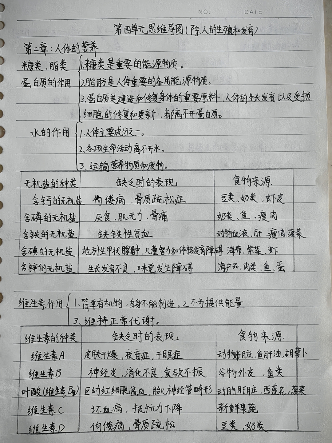 七下生物人生殖(7年级下册生物学人的生殖)  第1张