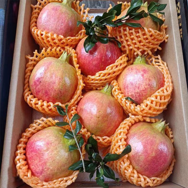 石榴# 推荐一款口感超赞的大凉山突尼斯软籽石榴,这是孕妇和小憾技