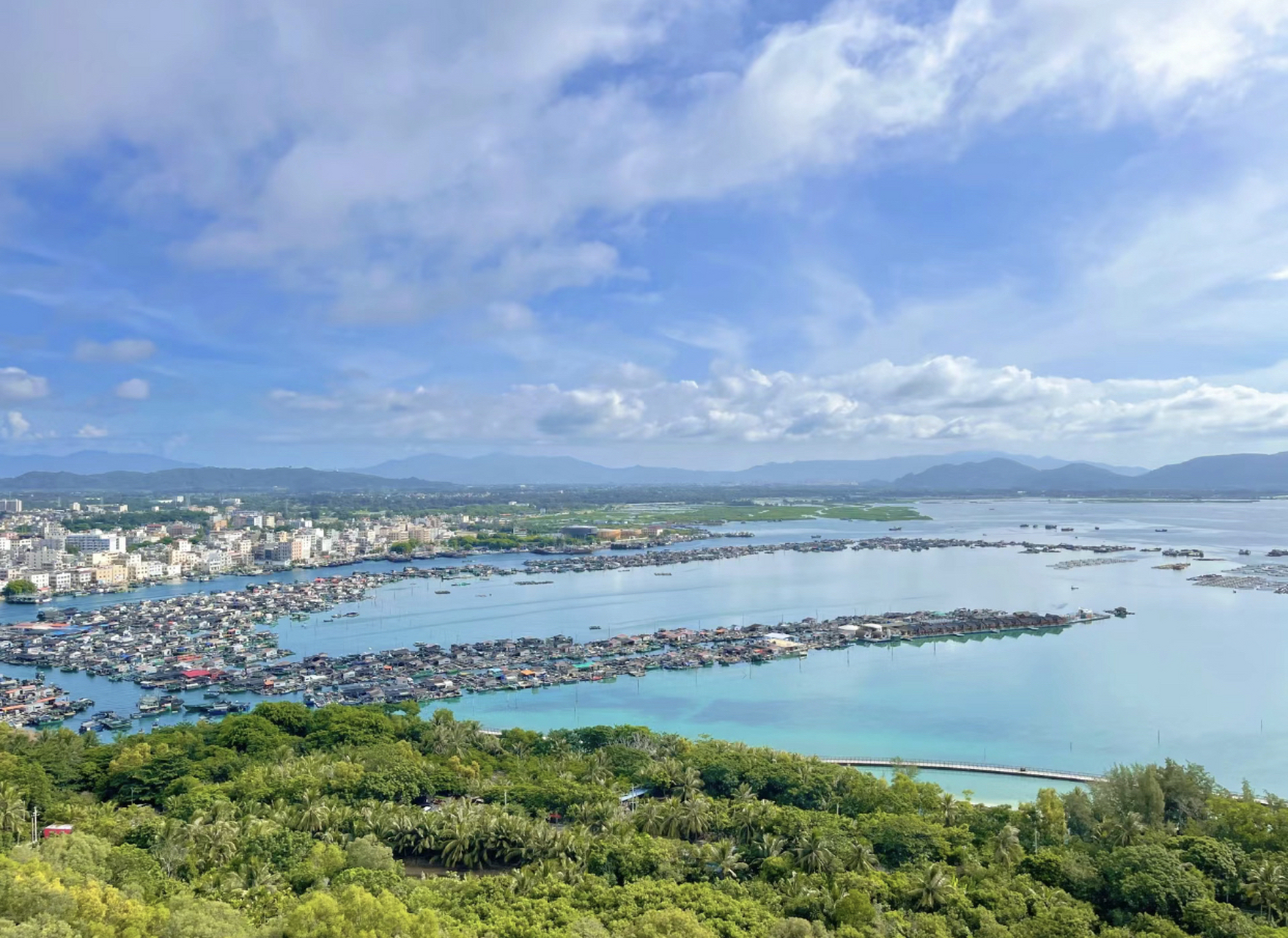 城市点评# 南湾猴岛位于中国海南省三亚市,是一处以猕猴和热带雨林为