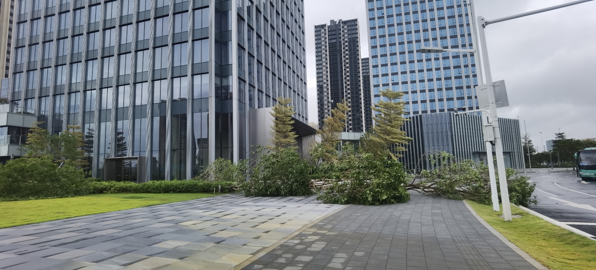 在爱情与友情之间,在利益与道德之间,如何做选择,每