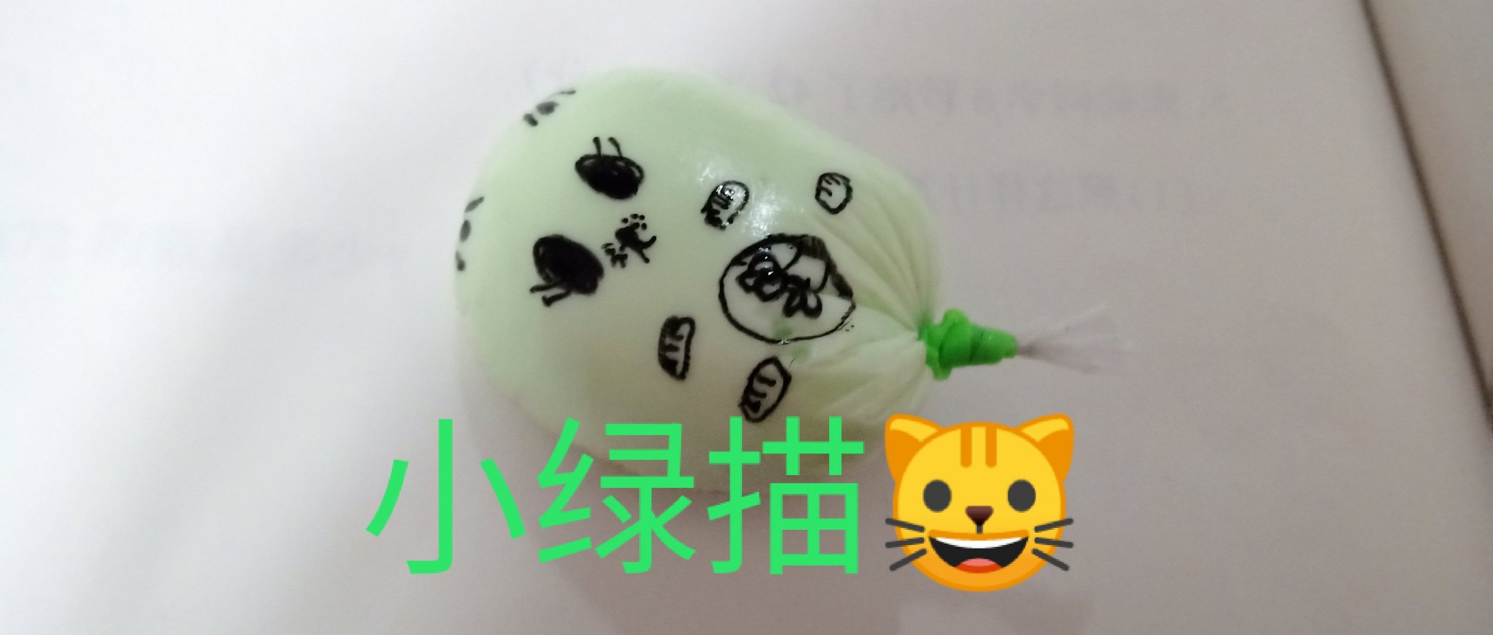 小绿猫真可爱呀!