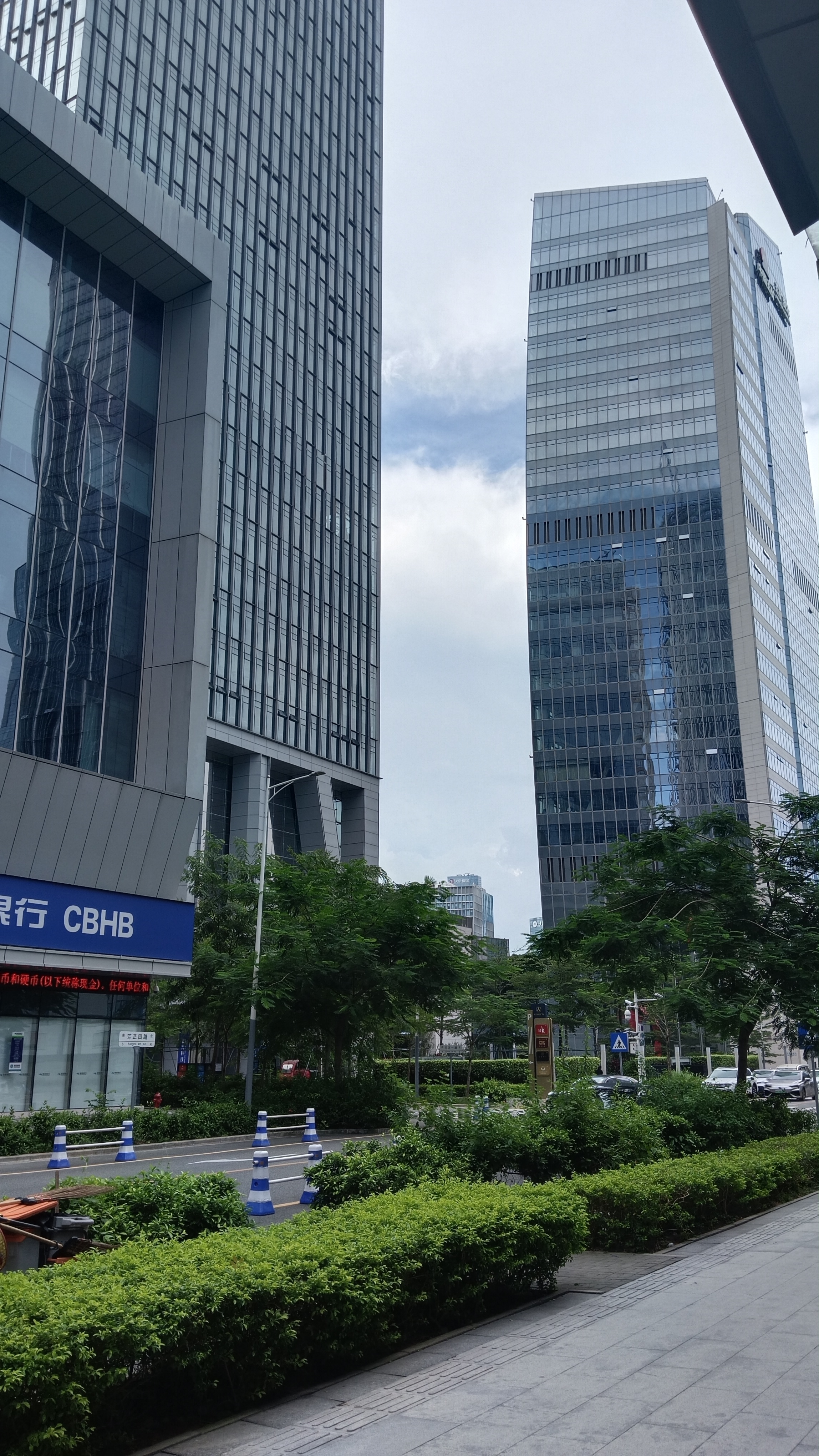 深圳后海,城市繁华,高楼林立,我在cbd的小道上走着,感受着微风拂面