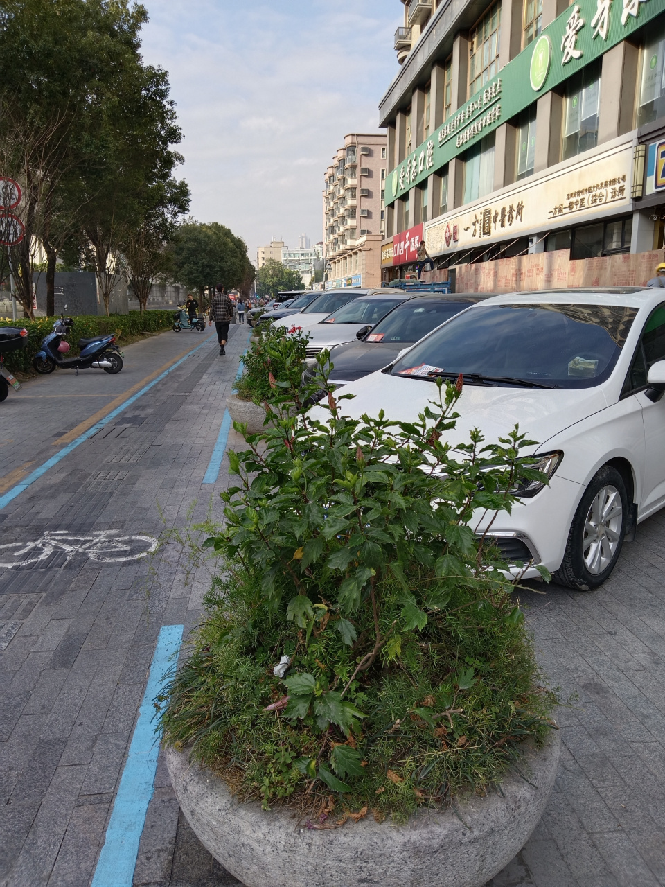 深圳龙华街景图片图片