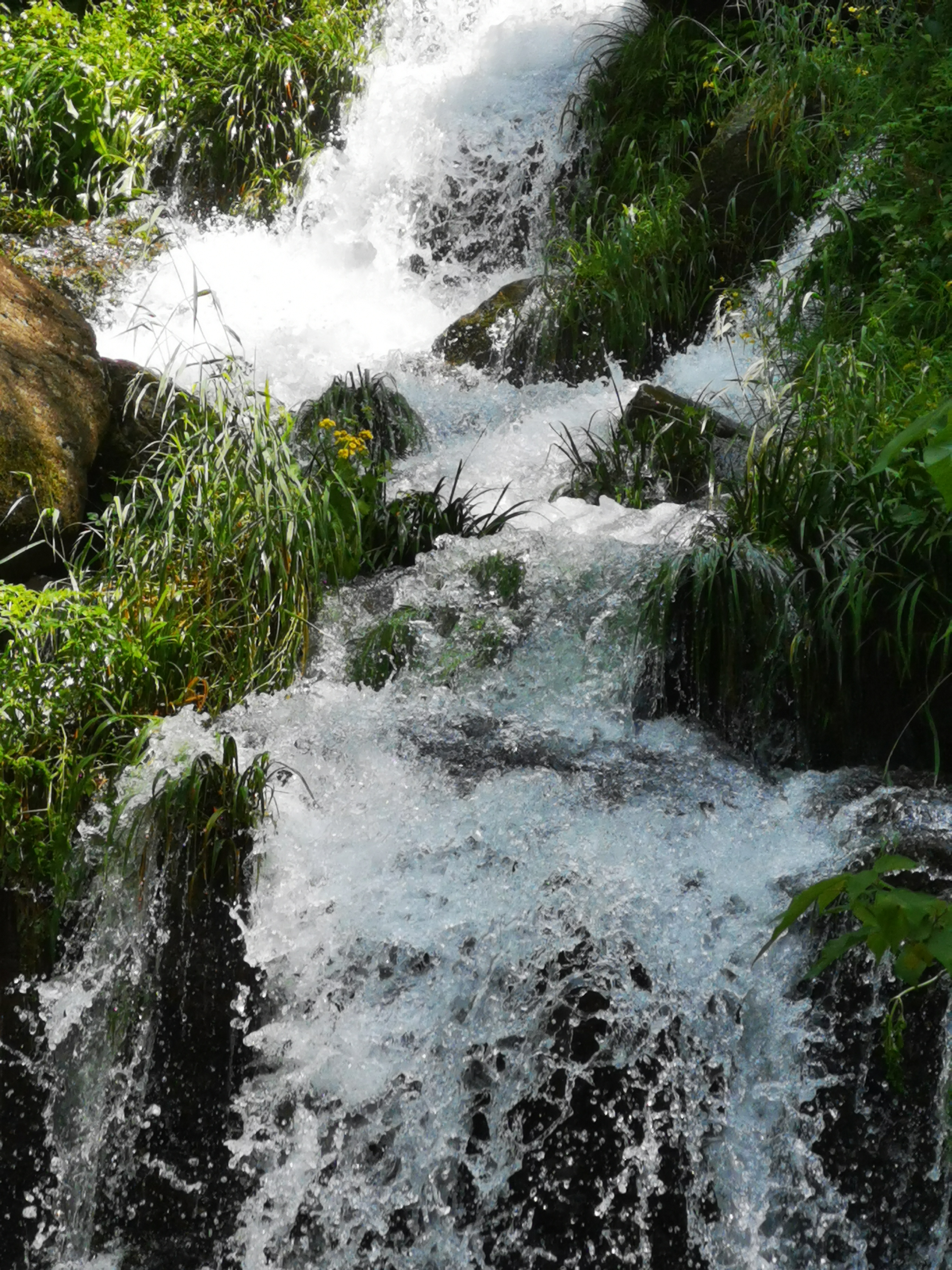 鸬鸟镇藏于山沟沟景区,那里的瀑布如银河倒挂,水珠飞溅,声震山谷