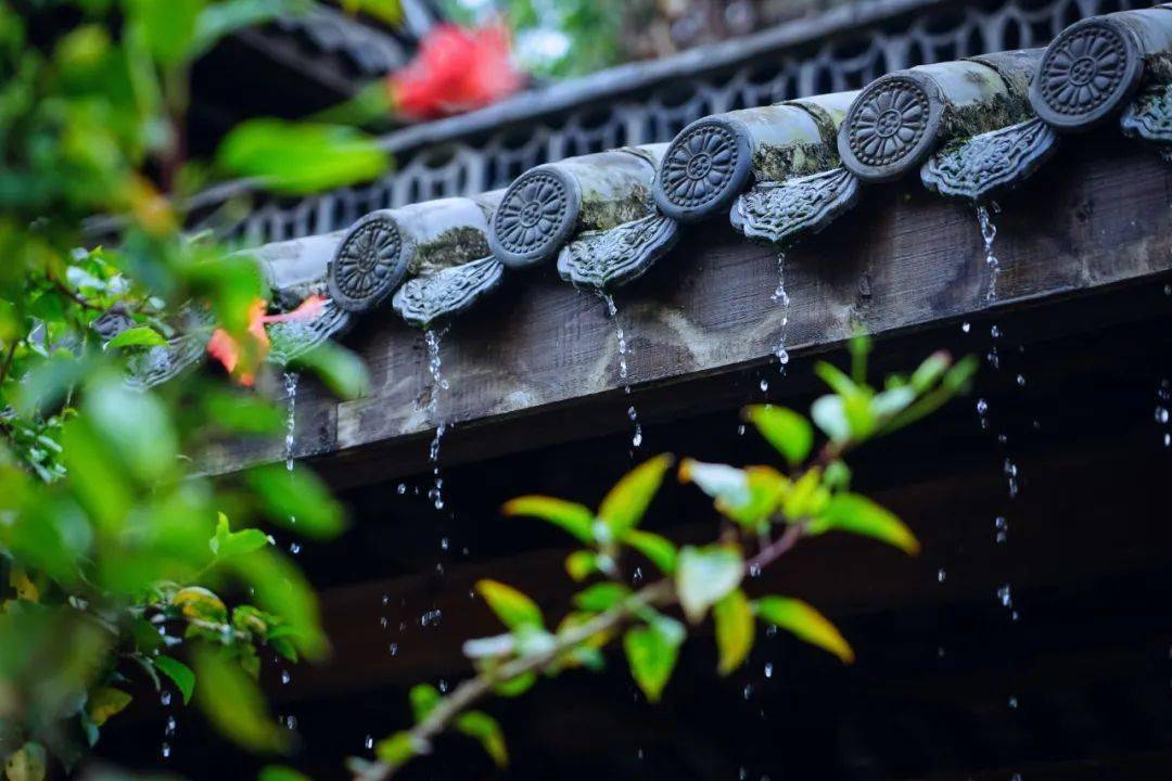 重庆的梅雨季图片