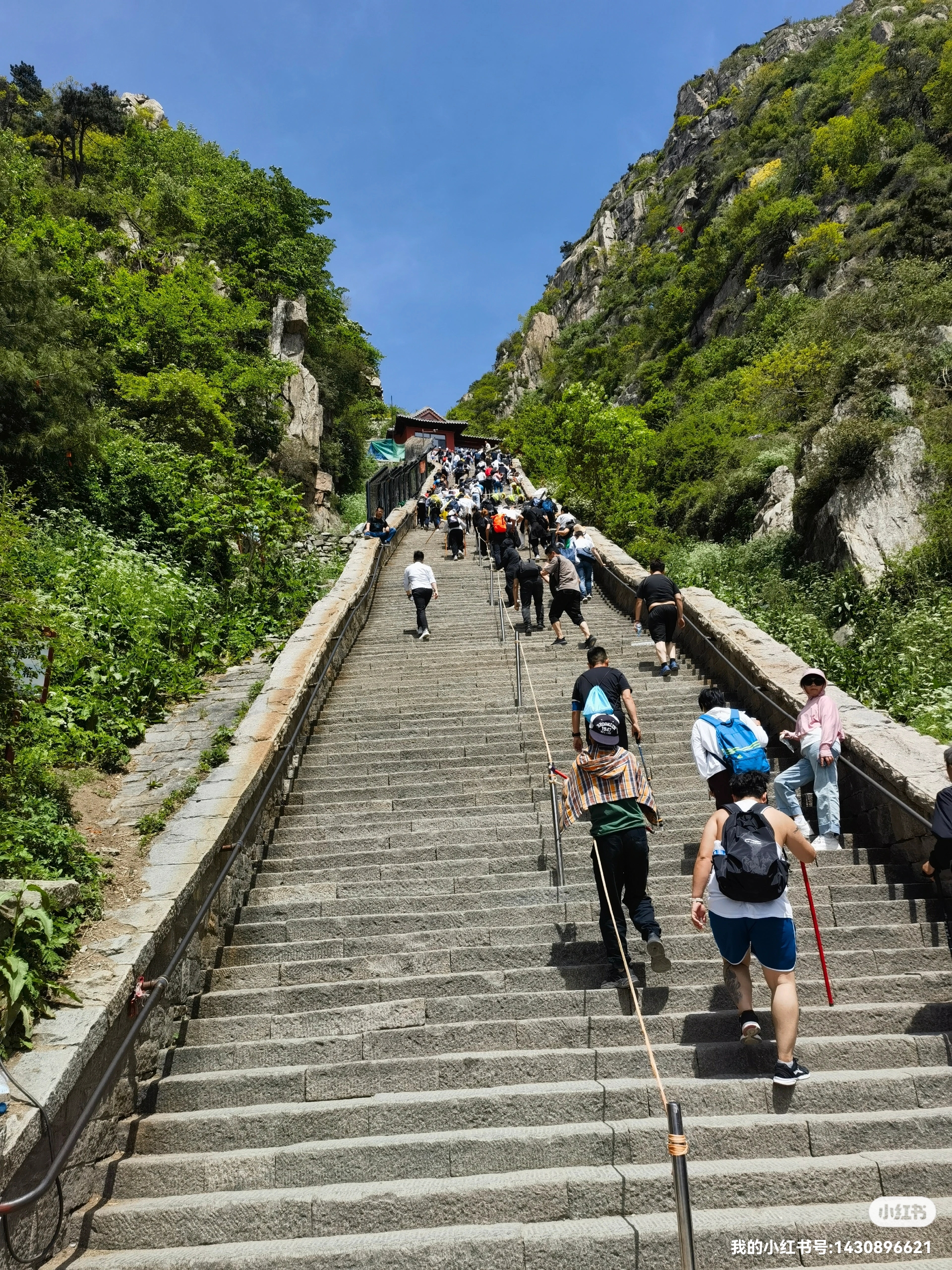 泰山旅游真实图片图片