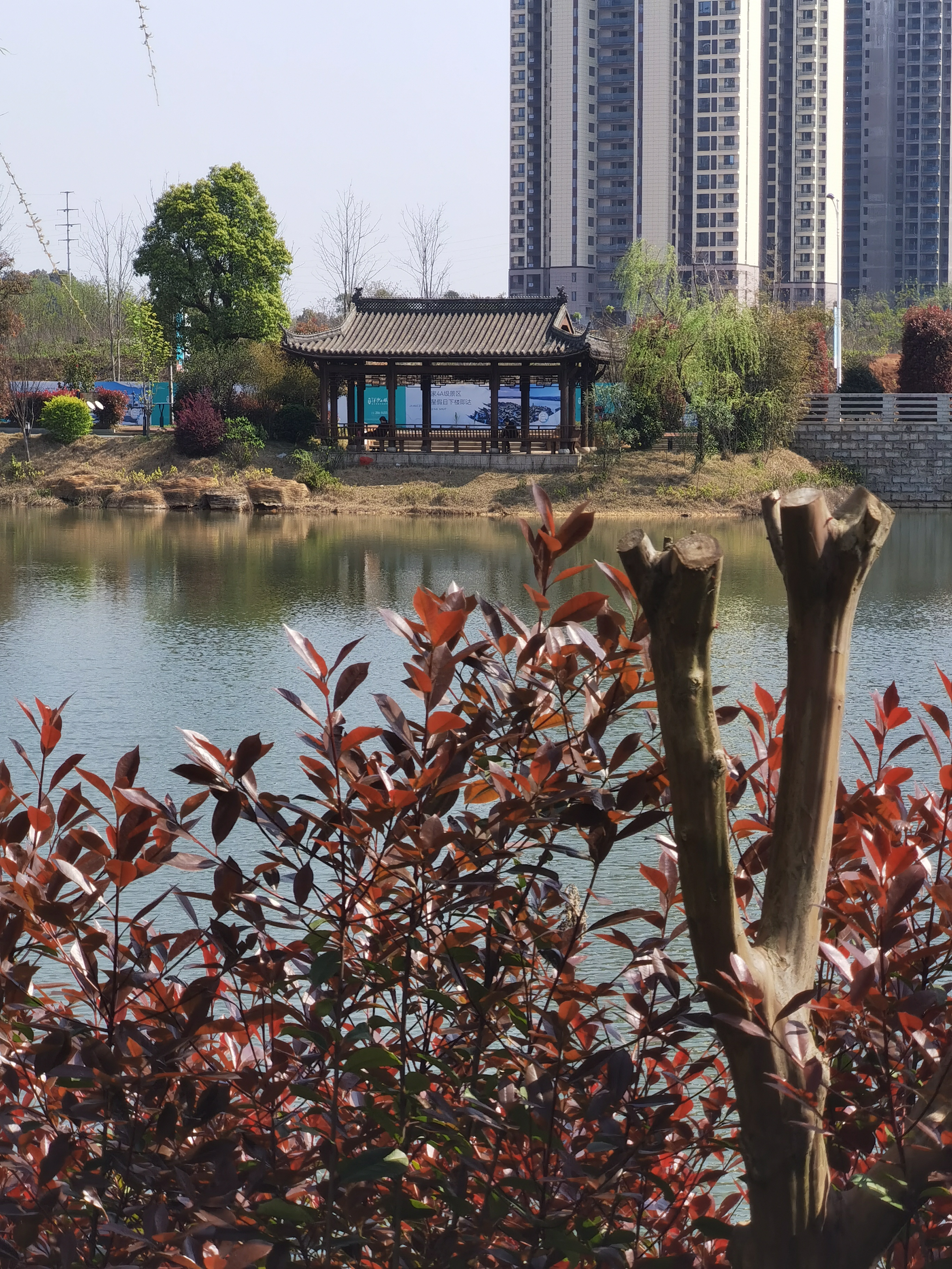 今日漫步洋沙湖景区,湖光山色美不胜收,仿佛置身仙境.