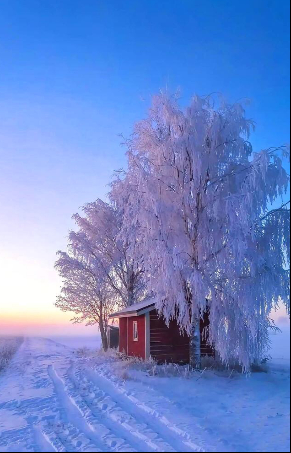 最美的景色雪景图片