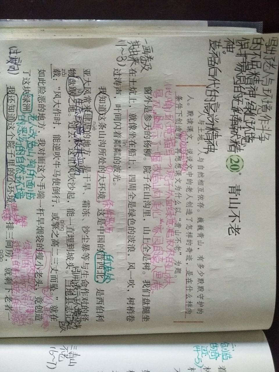 六年级语文上册第二十课《青山不老》课文笔记,预习专用