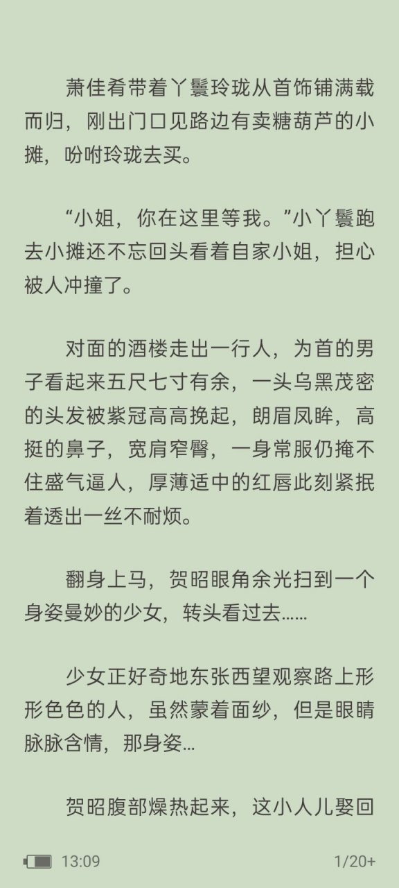 【完整《涌泉相抱》萧佳肴 贺昭.在线txt阅读