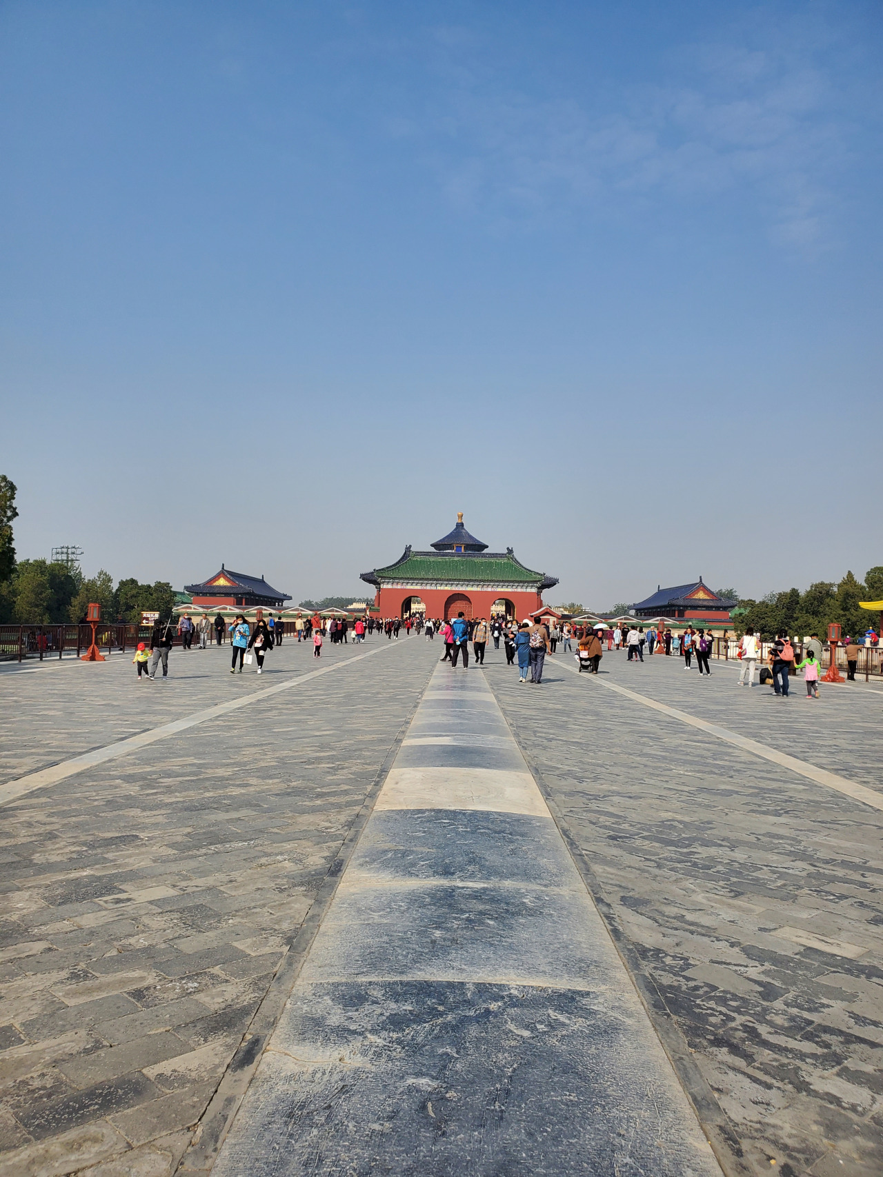那年出秋去天坛,不仅有祈年殿,回音壁,还有树王的古树,七星石,每一处