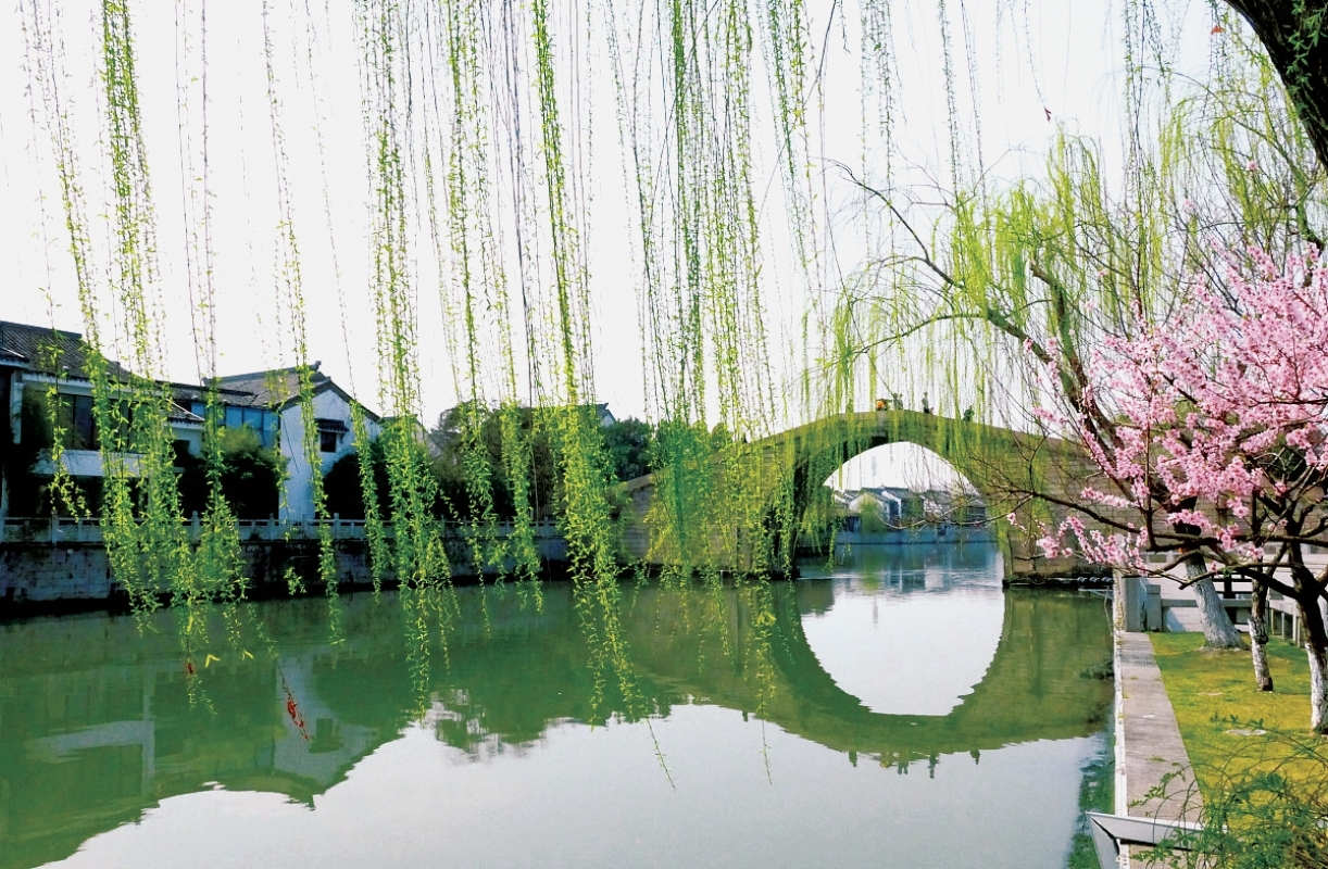 那绿意盎然的垂柳,宛如大自然的画笔,点缀着这片宁静的水域.