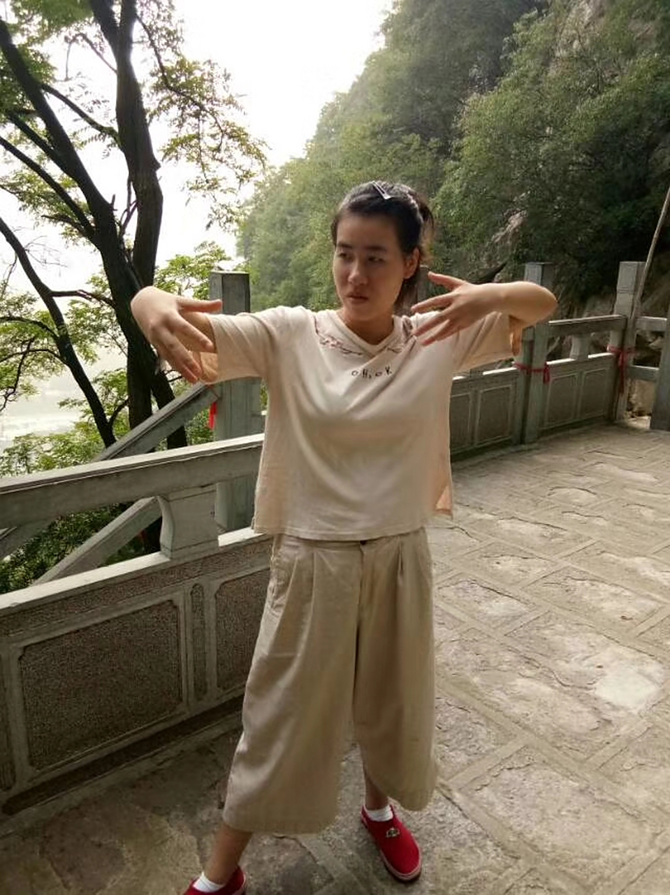 讲述大成拳中兴之主王选杰的视频