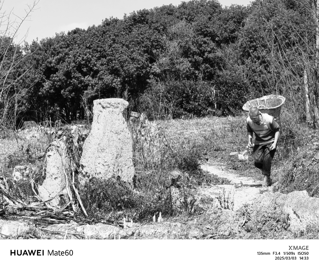 走哪里记录哪里,记得去拍照吧,因为每一秒的流逝,都