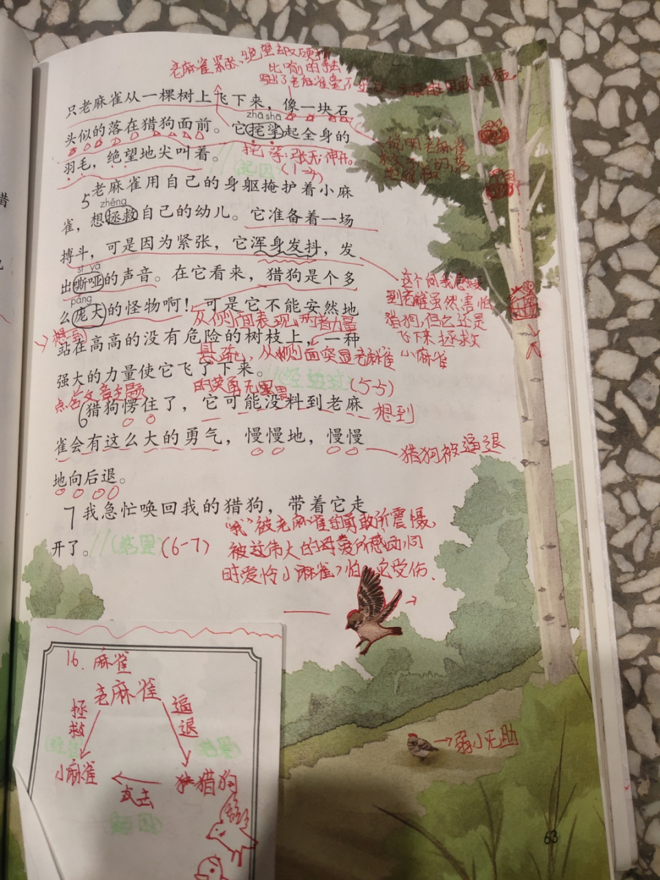 麻雀课堂笔记