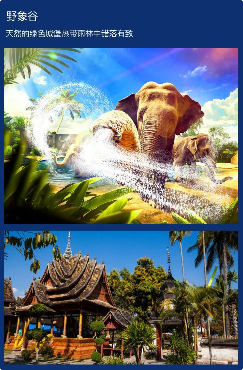 红蚁旅游,680双人出游 答应我,一定要带你的女朋友去一次西双版纳她