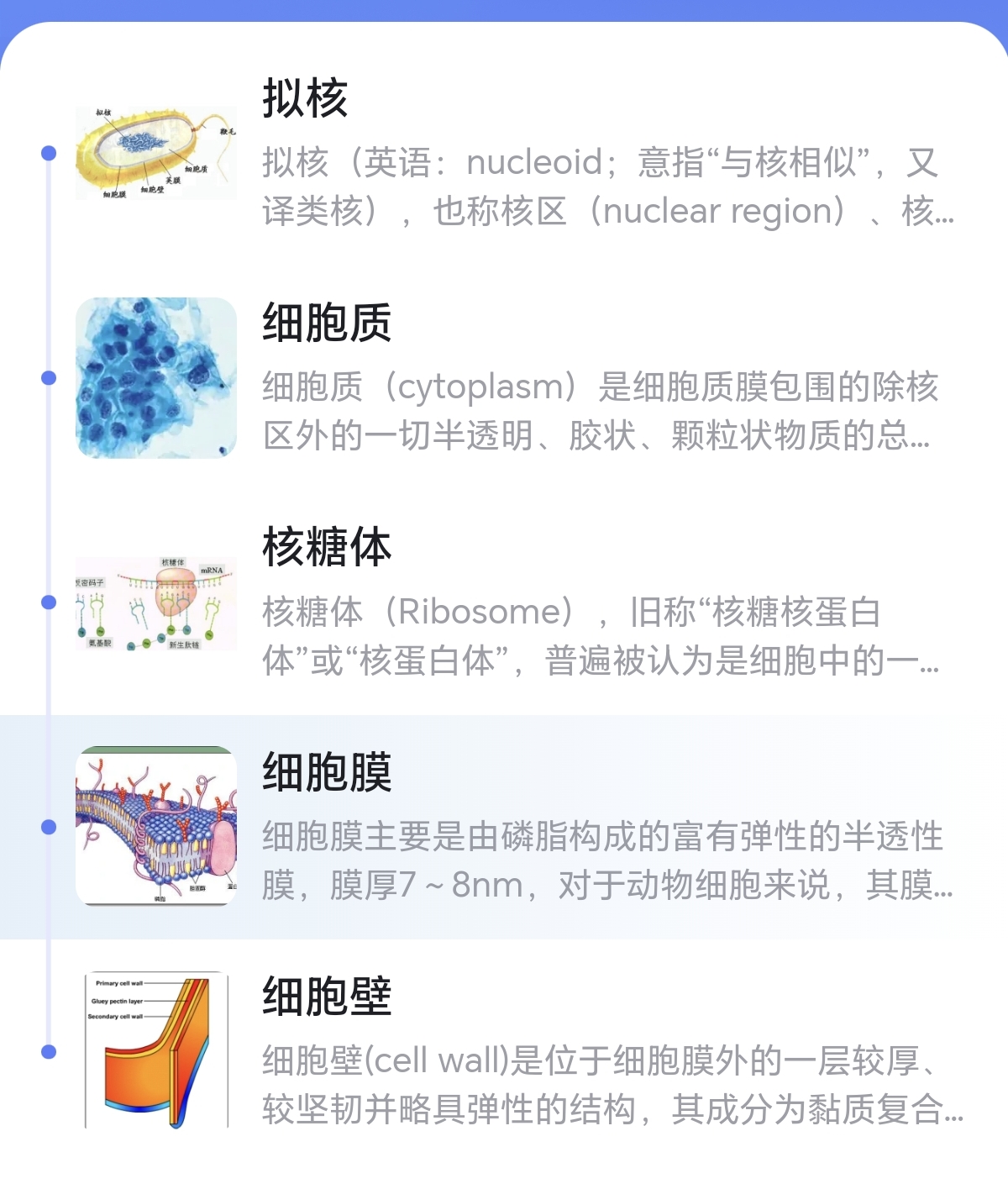 原核细胞的构成