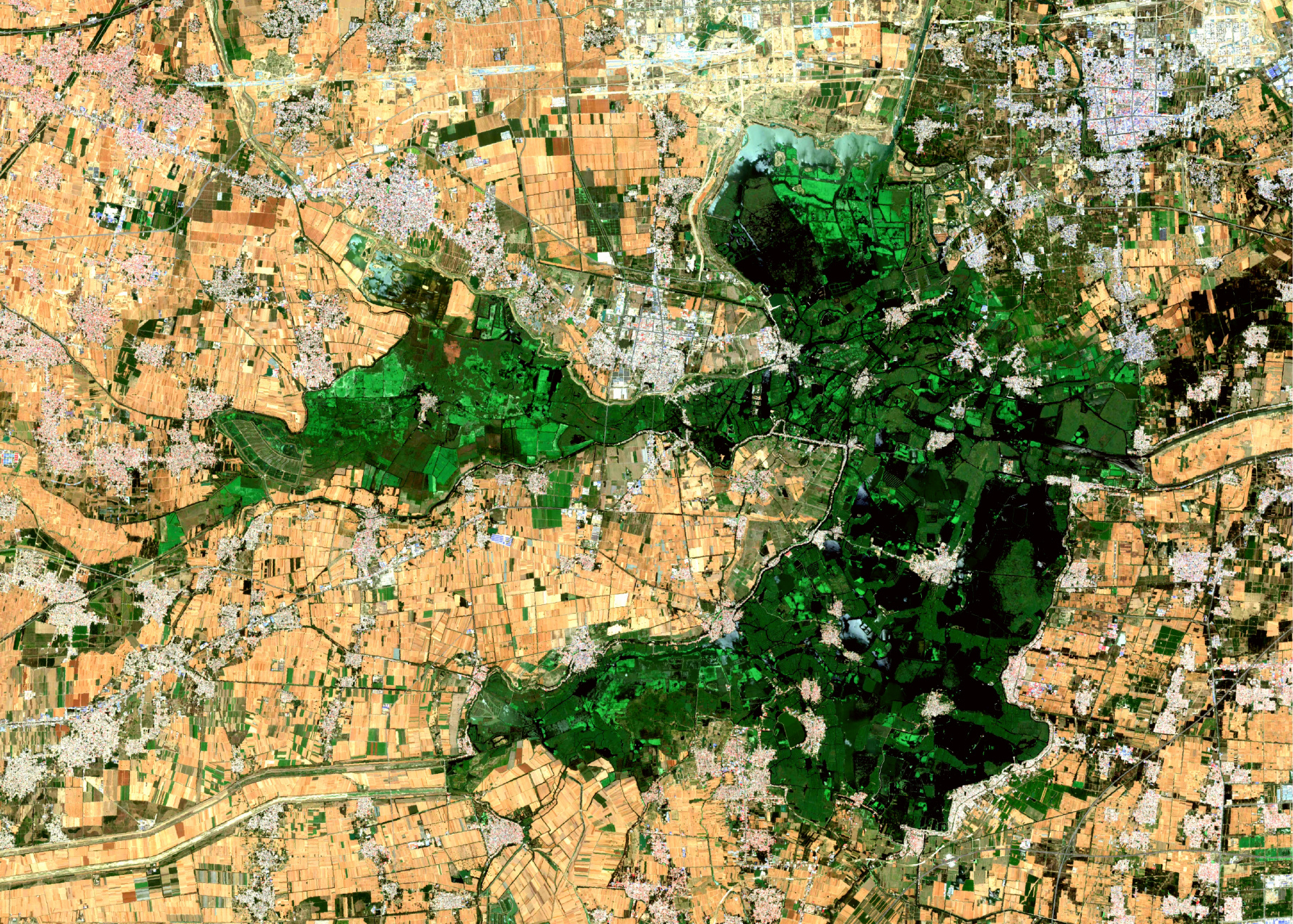 河北省白洋淀卫星影像图(2016-2023) 2023年6月21日和2016年6月3日