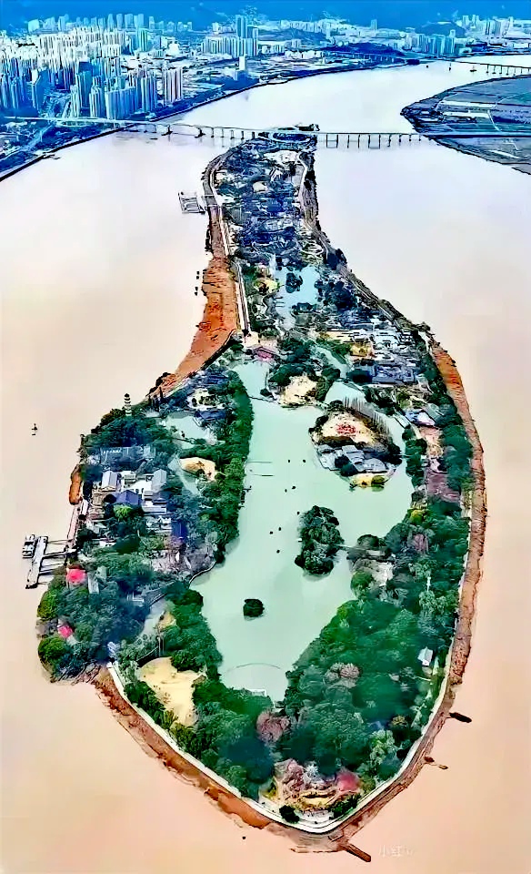 温州江心屿航拍图