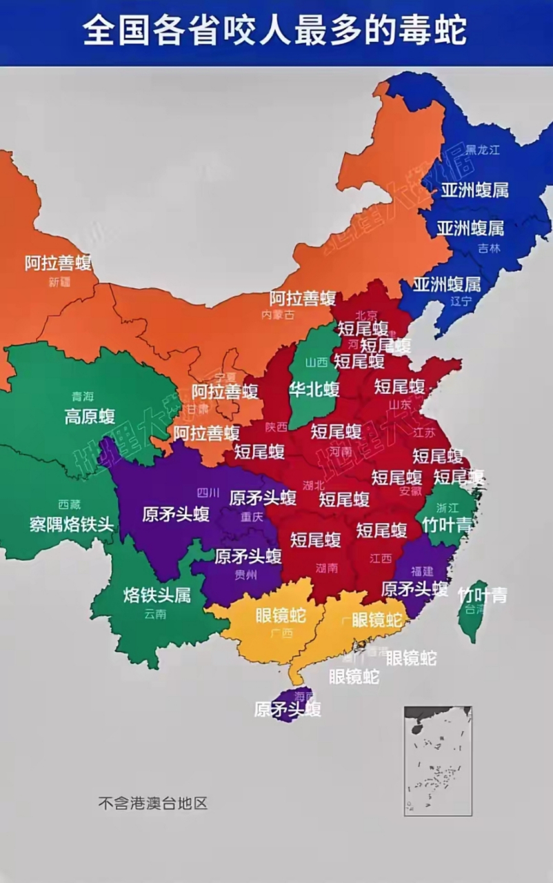 中国咬人最多的毒蛇图片