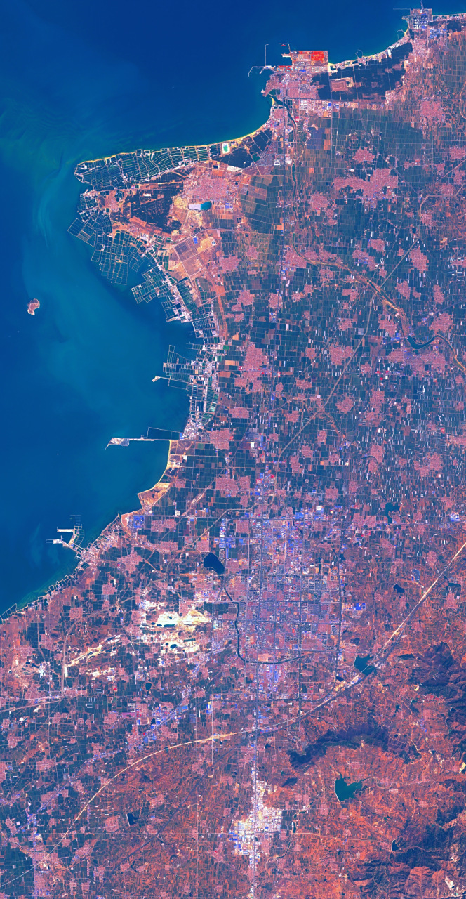 山东省莱州市最新卫星影像图(4.