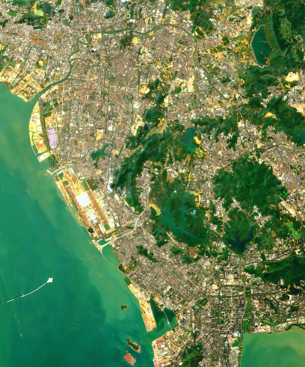 广东深圳市最新高清卫星图片(3.