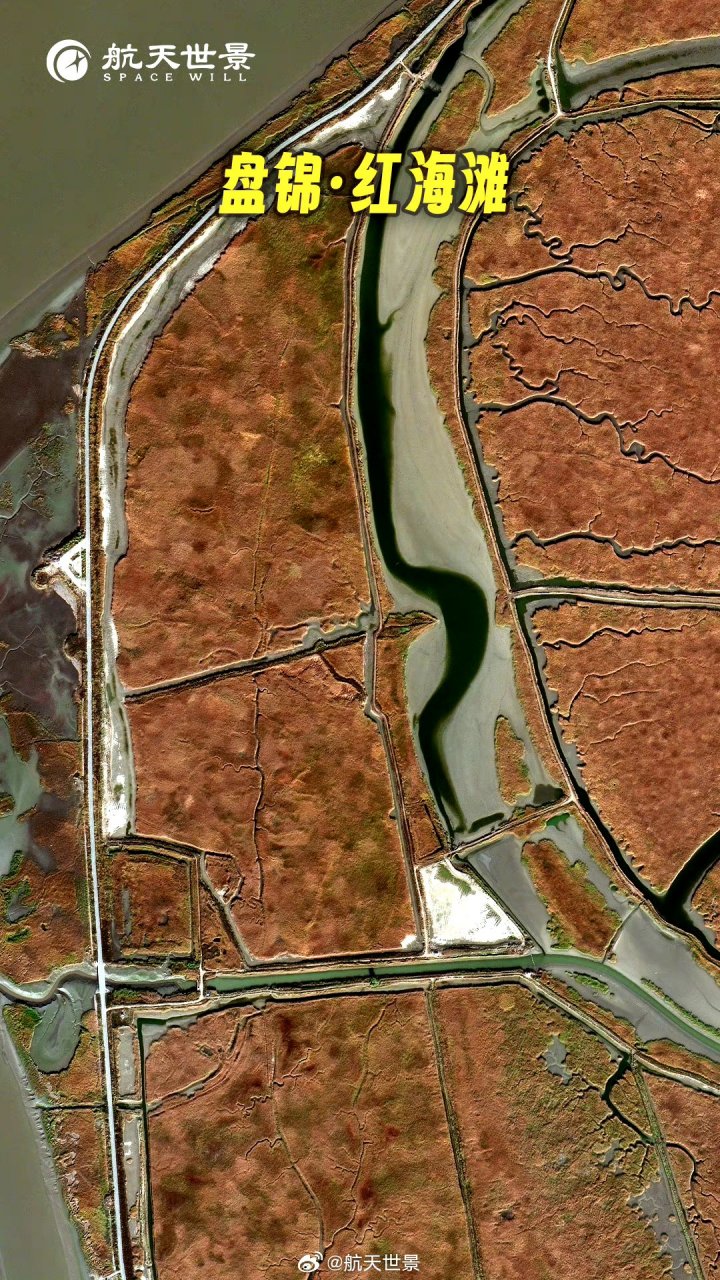 辽宁省盘锦市红海滩卫星图(8.