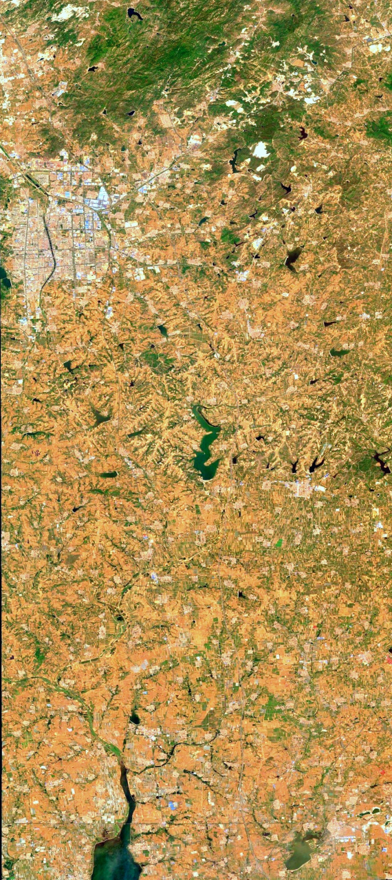 山东省招远市最近卫星图(6.