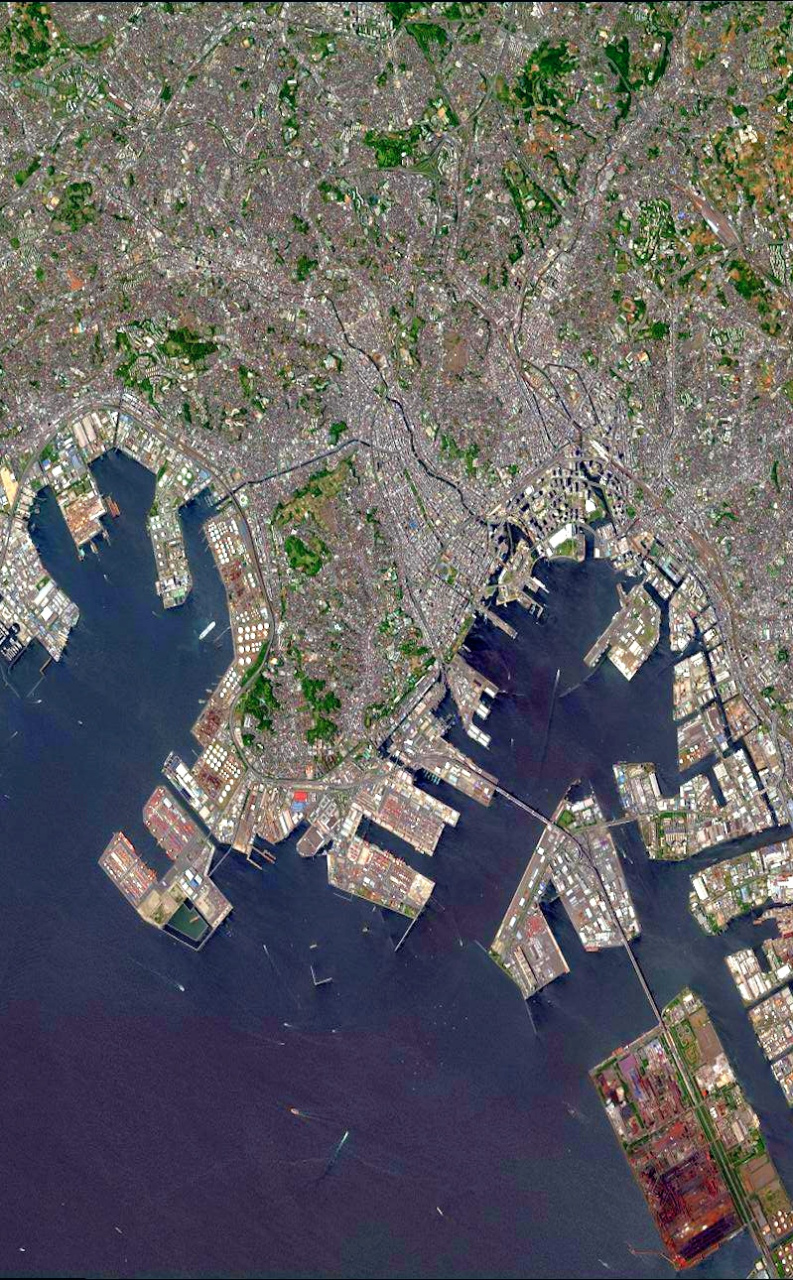 日本东京市最近卫星图(5.20)