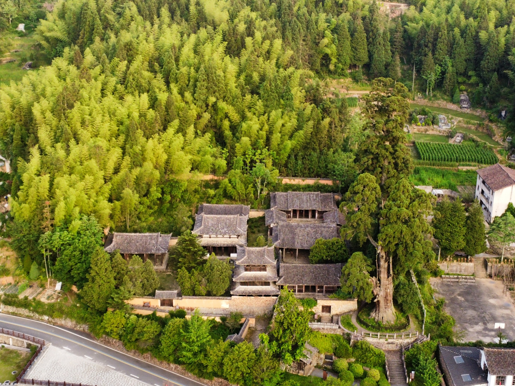 浙江省丽水市景宁国保—时思寺(6.