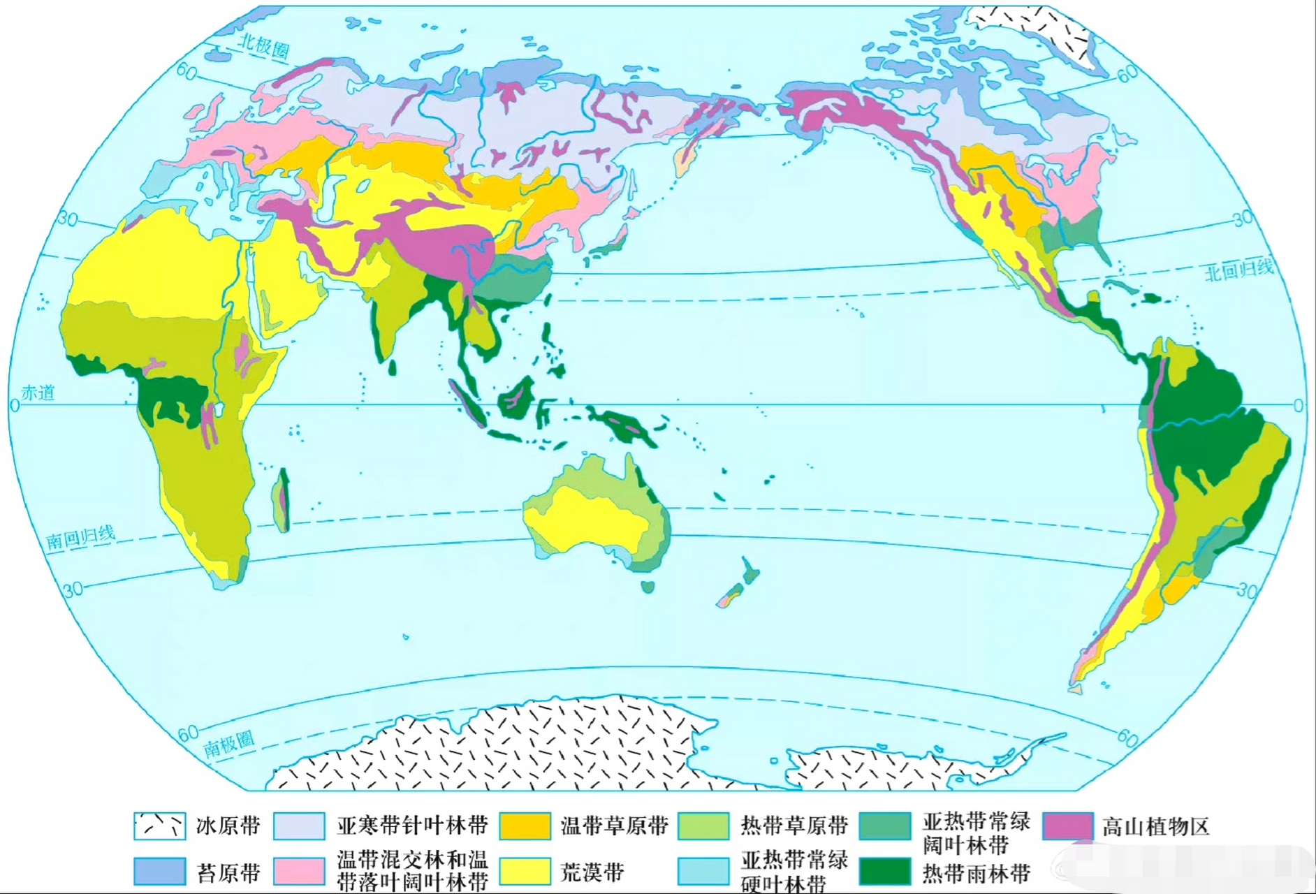 世界植被分布简图图片