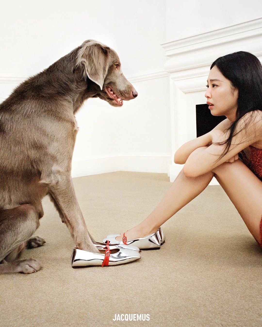 这组照片不仅展现了jennie的时尚品味,也展现了她与宠物之间的深焊行