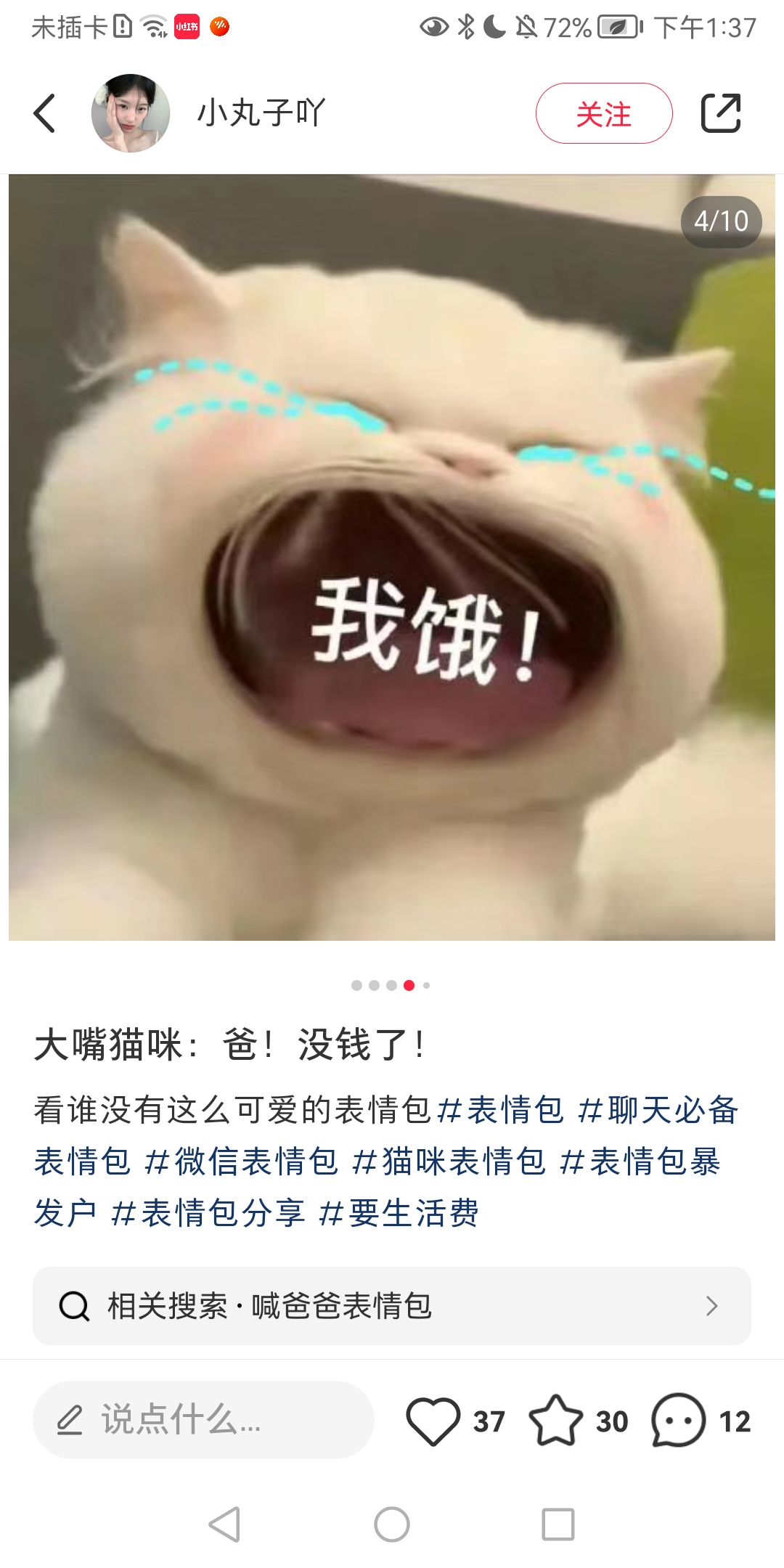 猫猫喊爸表情包图片