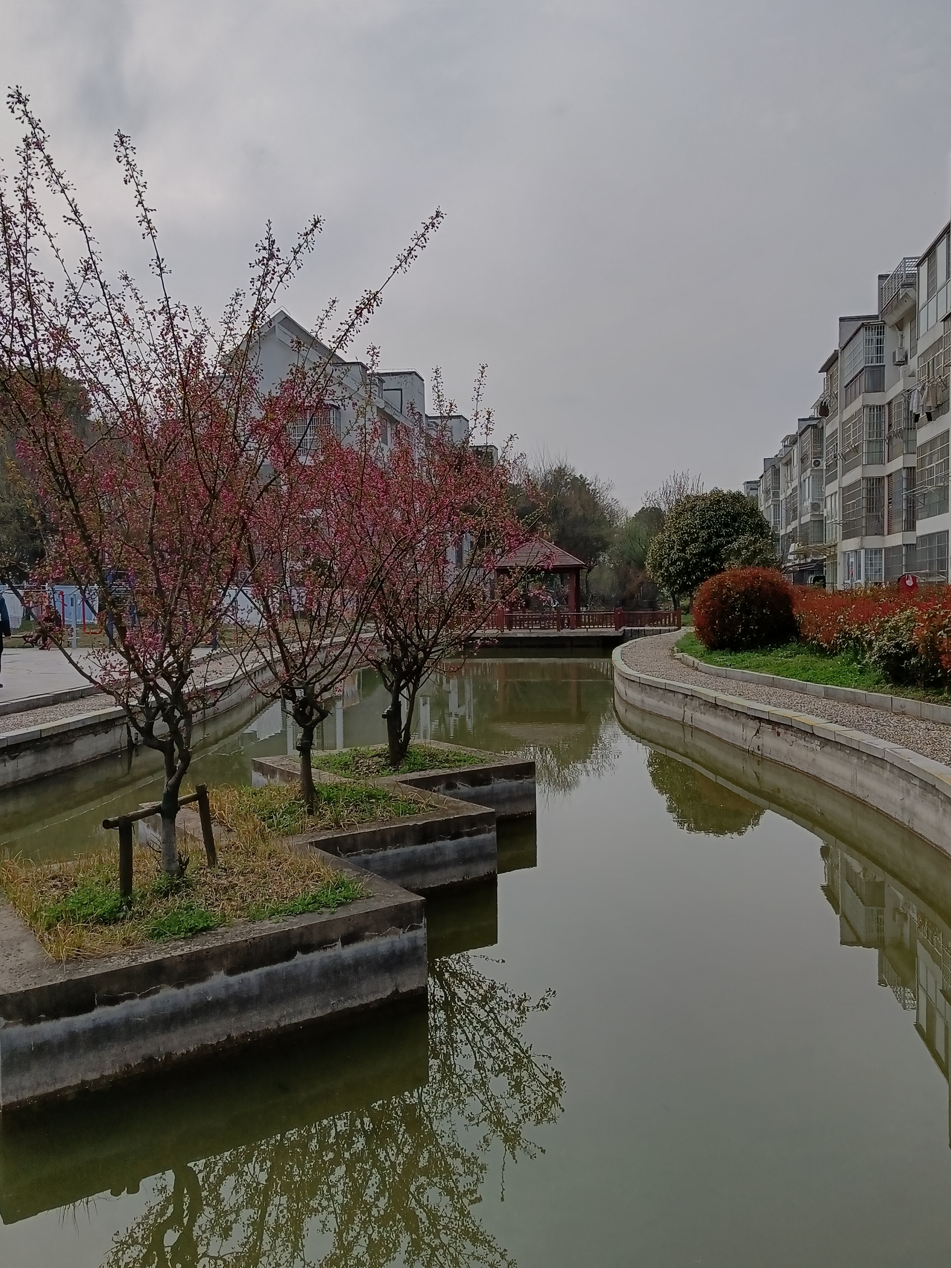 我平时很少往这四个安置小区溜.这四个安置小区地势最好在新一中