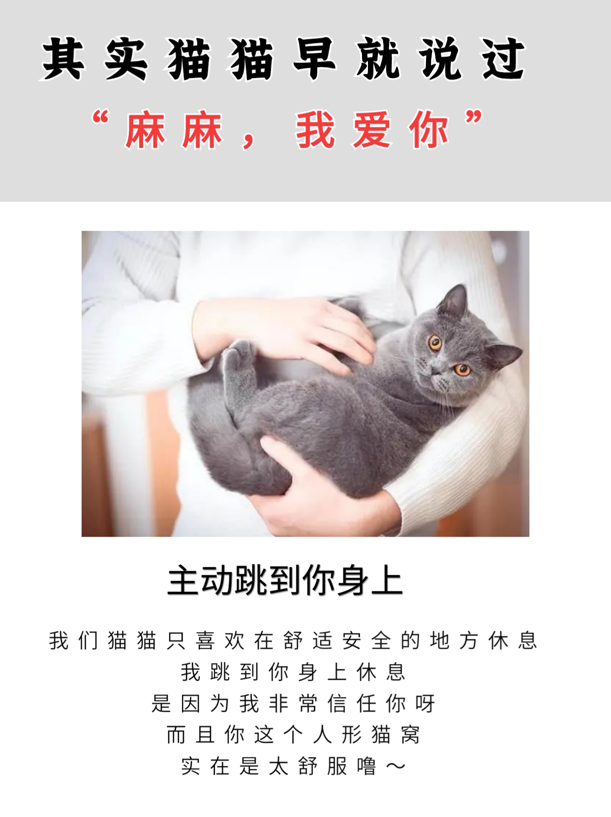 猫咪一直在说"妈妈,我爱你"#猫鼻支# #潦草小猫# #养猫经验# #猫