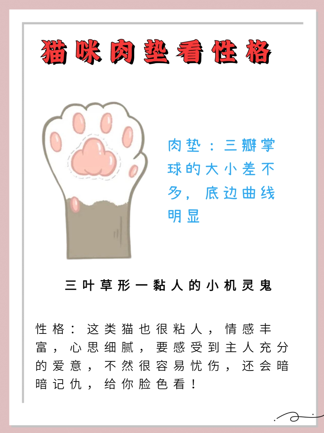 猫咪爪子性格图片